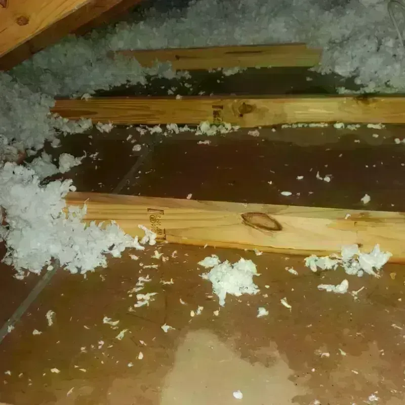 Attic Water Damage in Enochville, NC